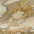 Calacatta Gold